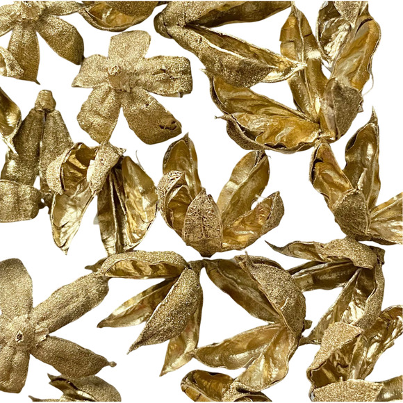 Dried Gold flowers | homegrown and handmade preserved Hibiscus seed pods - Picture 3 of 8
